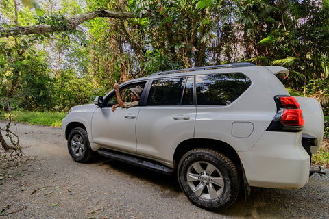 Full Day Cooktown Private Tour - Schoolies Week Accommodation 3