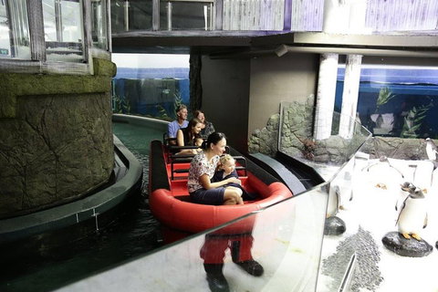 Sydney Attractions Pass: SEA LIFE Aquarium, Sydney Tower Eye, WILD LIFE Zoo And Madame Tussauds - Schoolies Week Accommodation 0