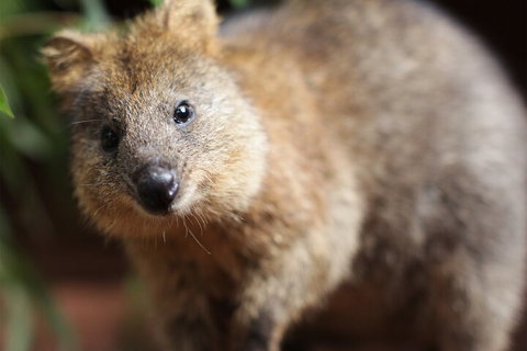 WILD LIFE Sydney Entrance Ticket - Schoolies Week Accommodation 4