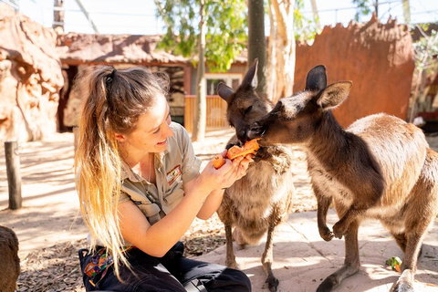 WILD LIFE Sydney Entrance Ticket - Schoolies Week Accommodation 5