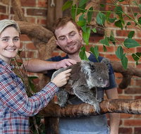 Private Tour Blue Mountains Day Trip from Sydney - Schoolies Week Accommodation