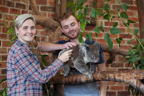 Private Tour: Blue Mountains Day Trip From Sydney - Schoolies Week Accommodation 0