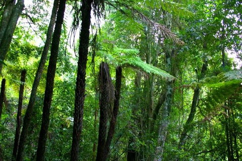 Private Tour: Blue Mountains Day Trip From Sydney - Schoolies Week Accommodation 4