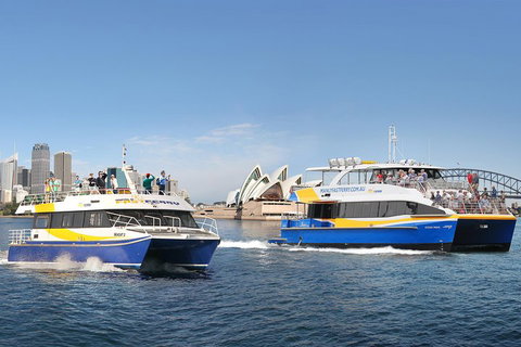 Go City | Sydney Explorer Pass With 20+ Attractions And Tours - Schoolies Week Accommodation 5
