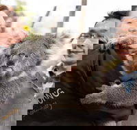 Bonorong Wildlife Park and Richmond Afternoon Tour from Hobart - Schoolies Week Accommodation