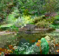 Hobart Half-Day Sightseeing Coach Tram Tour - Schoolies Week Accommodation