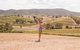 Luxury Hunter Valley Wildlife, Wine & Vodka Tasting Tour From Sydney - thumb 5