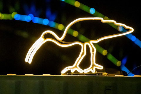 Walk The Lights â€”Â A VIVID Festival Walking Tour - Schoolies Week Accommodation 2