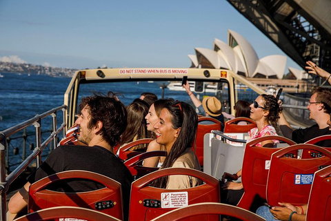 Hop-On Hop-Off Bus And PLUS 4 Merlin Attractions - Schoolies Week Accommodation 1