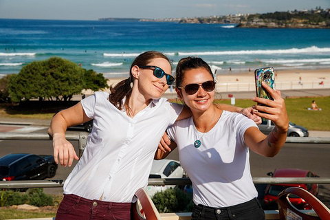 Hop-On Hop-Off Bus And PLUS 4 Merlin Attractions - Schoolies Week Accommodation 4