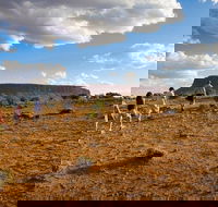 Mount Conner 4WD Small Group Tour from Ayers Rock including Dinner - Schoolies Week Accommodation