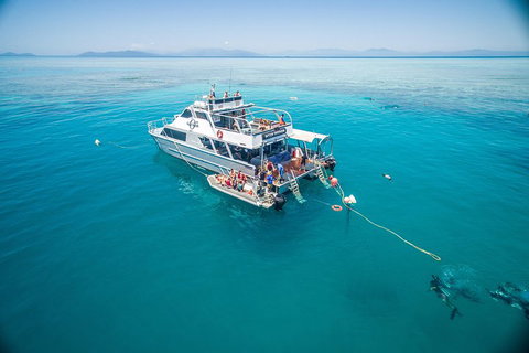 Ocean Freedom Great Barrier Reef Personal Luxury Snorkel & Dive Cruise, Cairns - Schoolies Week Accommodation 0