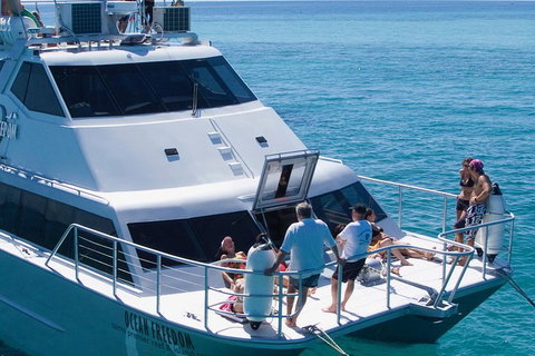 Ocean Freedom Great Barrier Reef Personal Luxury Snorkel & Dive Cruise, Cairns - Schoolies Week Accommodation 1