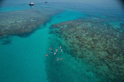 Ocean Freedom Great Barrier Reef Personal Luxury Snorkel & Dive Cruise, Cairns - Schoolies Week Accommodation 3