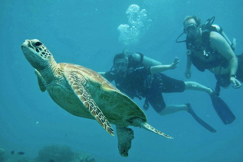 Ocean Freedom Great Barrier Reef Personal Luxury Snorkel & Dive Cruise, Cairns - Schoolies Week Accommodation 4