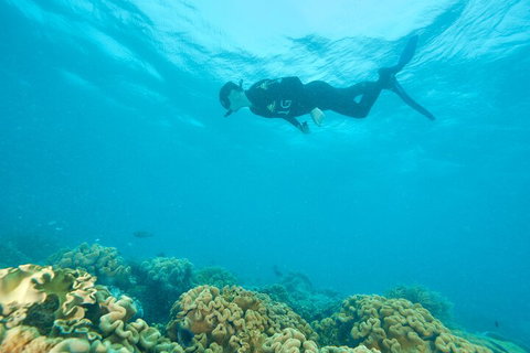 Ocean Freedom Great Barrier Reef Personal Luxury Snorkel & Dive Cruise, Cairns - Schoolies Week Accommodation 5