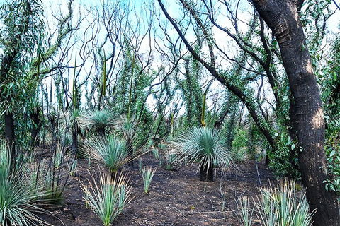 NEW TOUR - Kangaroo Island Road To Recovery Tour (1 Day/1 Night) - Schoolies Week Accommodation 3