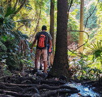 Hike to the Figure Eight Pools - Schoolies Week Accommodation