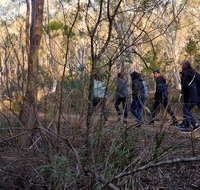 Wild Australian Wildlife 4WD Tour from Sydney - Schoolies Week Accommodation