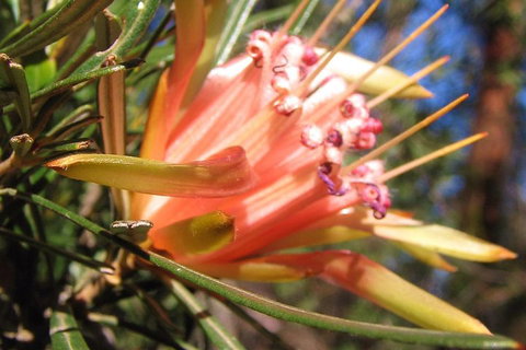 Small-Group Blue Mountains Tour With Bush Walks And Featherdale Wildlife Park - Schoolies Week Accommodation 4
