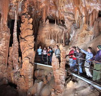 Blue Mountains Private Tour from Sydney with Jenolan Caves