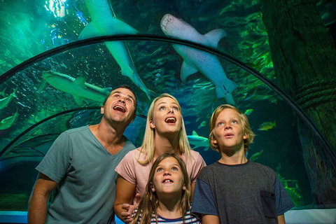 SEA LIFE Sunshine Coast Aquarium Entrance Ticket - Schoolies Week Accommodation 3