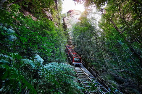 Private Blue Mountains Tour - Schoolies Week Accommodation 0