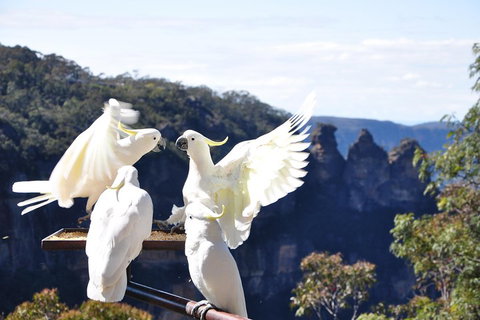 Private Blue Mountains Tour - Schoolies Week Accommodation 1