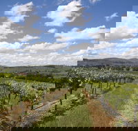 Hunter Valley Wine Tour from Sydney incl Lunch Cheese Chocolate and Distillery - Schoolies Week Accommodation