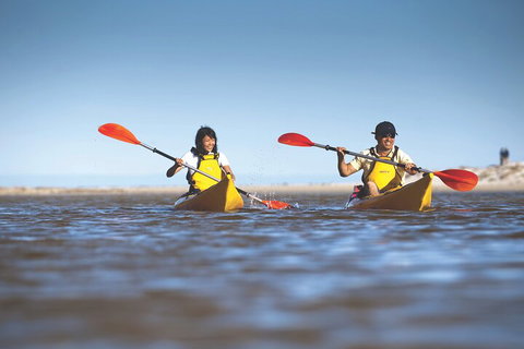 Kangaroo Island Self-Guided Kayaking On The Harriet River - Schoolies Week Accommodation 2