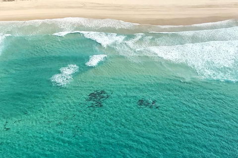 Coastal Helicopter Shared Flight - 20 Minutes - Schoolies Week Accommodation 4