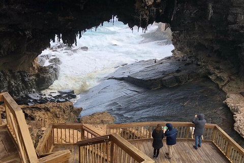 Kangaroo Island 4WD Tour - Best Of KI - Schoolies Week Accommodation 1