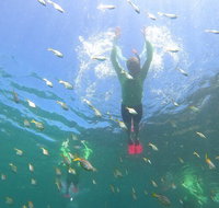 Manly Snorkel Trip and Nature Walk with Local Guide - Schoolies Week Accommodation